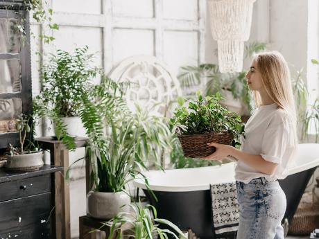 Rostliny v koupelně - jaké vybrat, a jak o ně pečovat?